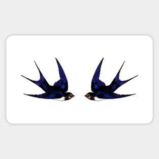 Twin Swallows Sticker